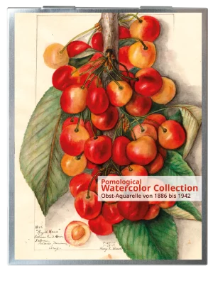 CardBox 04 - Die Pomological Watercolor Collection - Obst-Aquarelle von 1886 bis 1942